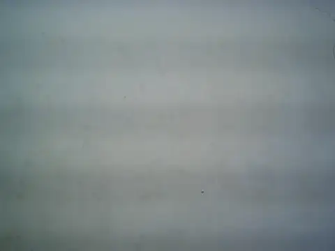 Snapshot of michel1520 chatting on 07/16/26, 11:29 michel1520 online show from 07/16/26, 11:29