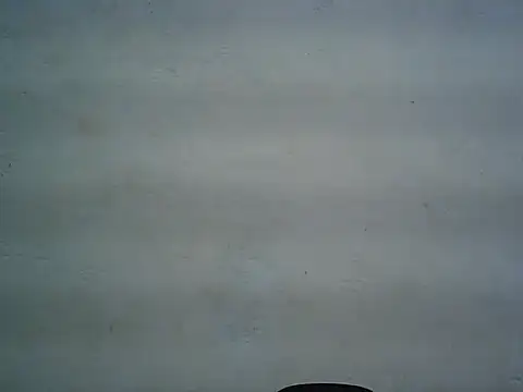 michel1520 online show from 05/11/26, 07:43