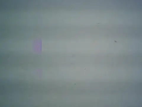 michel1520 online show from 04/11/26, 11:30