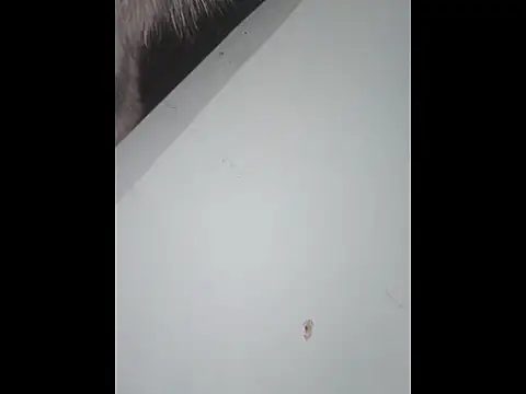 dany hardy online show from 01/10/26, 10:05