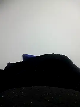 CHARLOTTE 1711 online show from 10/11/25, 03:40