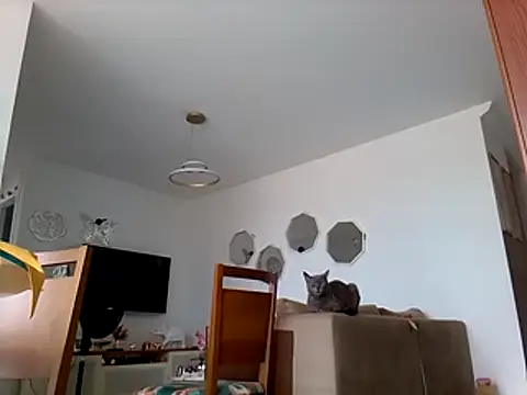 Munnoki online show from 03/01/26, 10:37