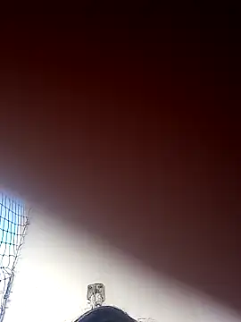 Donnasexy5 online show from 03/07/25, 08:00