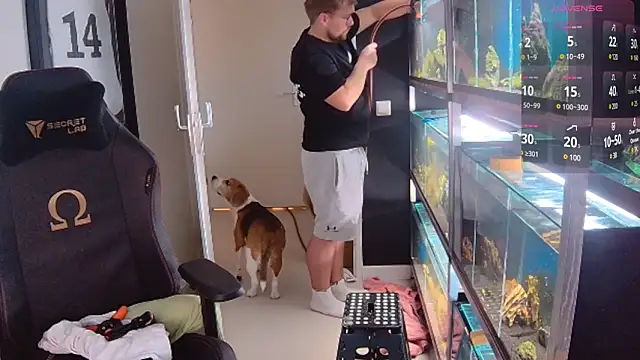 Snapshot of justinitt chatting on 02/26/25, 02:59 justinitt online show from 02/26/25, 02:59