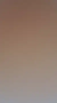 Snapshot of Jinenez chatting on 03/19/25, 11:57 Jinenez online show from 03/19/25, 11:57