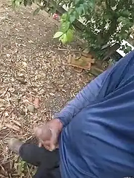 Snapshot of 1662 chatting on 10/29/25, 11:31 1662 online show from 10/29/25, 11:31