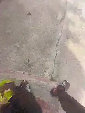 Snapshot of LaneYam chatting on 06/19/26, 12:11 LaneYam online show from 06/19/26, 12:11