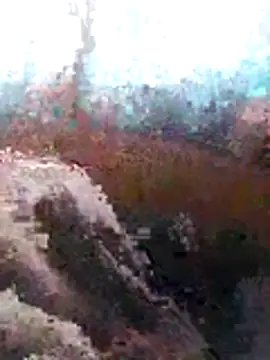 Snapshot of LaneYam chatting on 07/08/26, 06:36 LaneYam online show from 07/08/26, 06:36