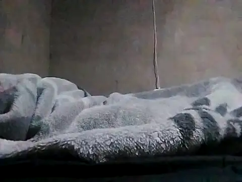 LaneYam online show from 03/24/26, 08:09