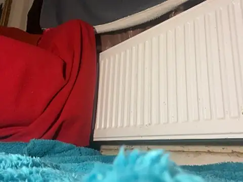 iccmananal online show from 12/23/25, 02:44