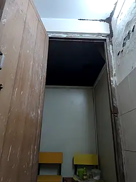 xx54362 online show from 03/15/26, 04:58