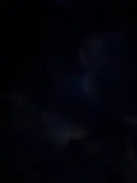 Miia Jazmin online show from 01/13/26, 11:03