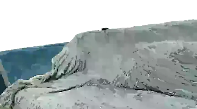 Snapshot of nene-5 chatting on 03/13/25, 11:16 nene-5 online show from 03/13/25, 11:16