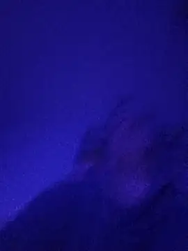 Paolo7619 online show from 11/03/25, 05:05