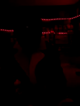 Snapshot of Blade_Ryder666 chatting on 12/17/25, 07:57 Blade Ryder666 online show from 12/17/25, 07:57