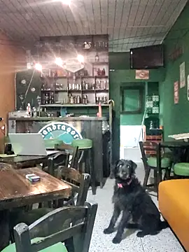 ilonna2025 online show from 03/15/26, 11:34