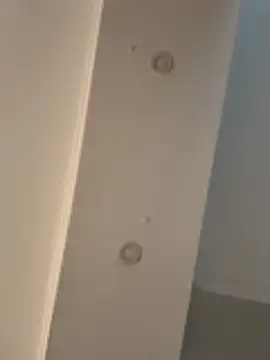 dereckgreen online show from 02/17/26, 09:23