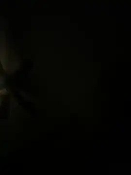 biggzee6 online show from 04/17/26, 11:24