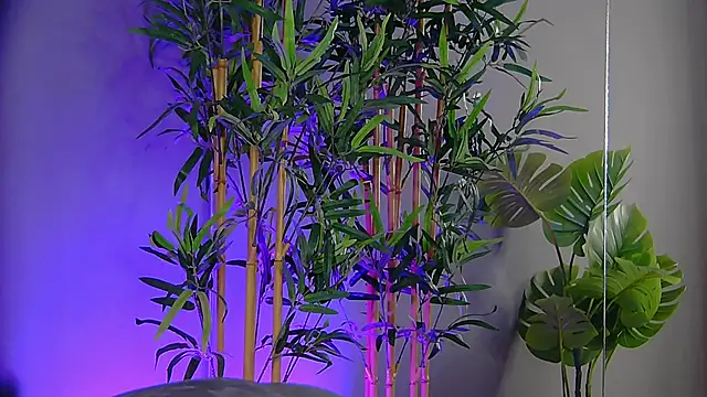 PatriciaSpice online show from 11/09/25, 05:22