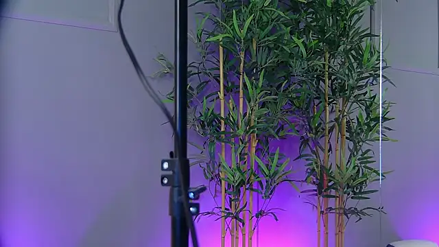 PatriciaSpice online show from 01/15/26, 05:33