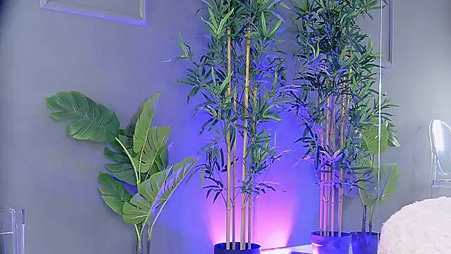 PatriciaSpice online show from 10/29/25, 05:28