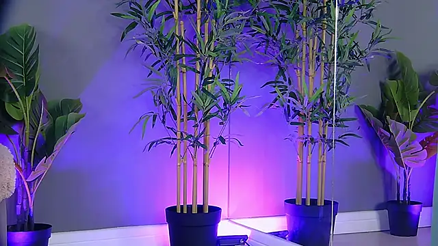 PatriciaSpice online show from 10/27/25, 05:19