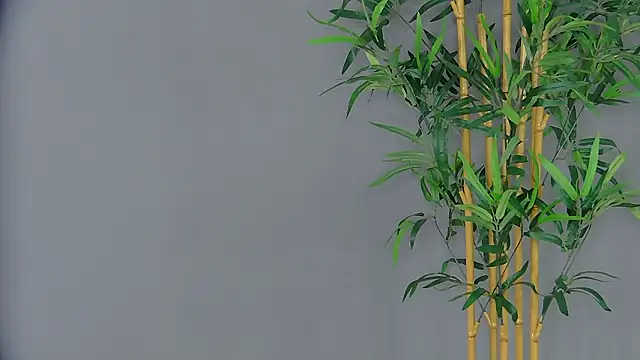 Snapshot of PatriciaSpice chatting on 03/03/26, 05:14 PatriciaSpice online show from 03/03/26, 05:14