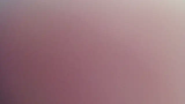 Kitten Cam online show from 04/29/26, 10:38