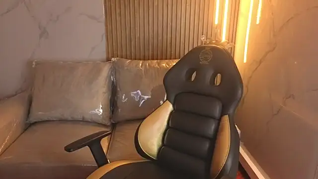 Kitten Cam online show from 11/26/25, 03:17