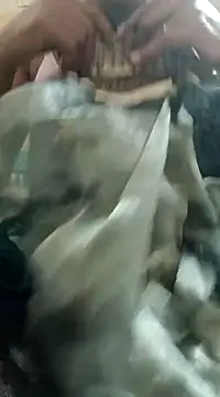 chocobbsimarn online show from 03/19/25, 10:53