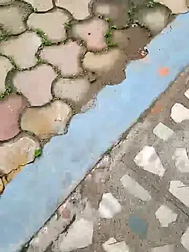 Snapshot of Raj41 chatting on 10/05/25, 04:25 Raj41 online show from 10/05/25, 04:25