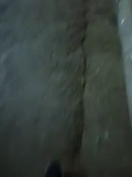 Raj41 online show from 12/03/25, 03:11