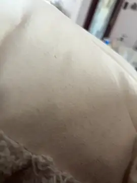 hengst2312 online show from 02/21/25, 11:01