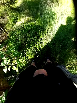 Berniwix2 online show from 06/24/26, 06:34