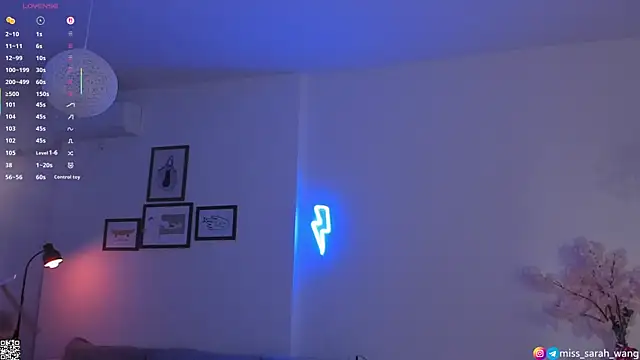 sarah wang online show from 04/09/26, 05:08