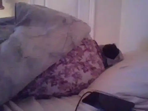 Snapshot of angeliquebelcali chatting on 03/17/25, 06:29 angeliquebelcali online show from 03/17/25, 06:29