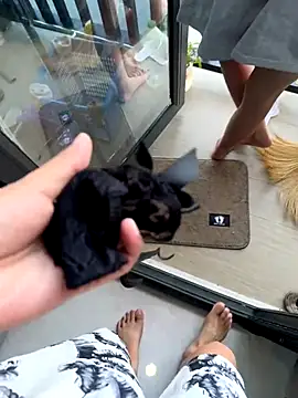 TOP po online show from 10/30/25, 03:27