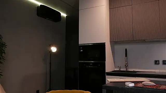 Sofa 01 online show from 02/01/26, 02:59