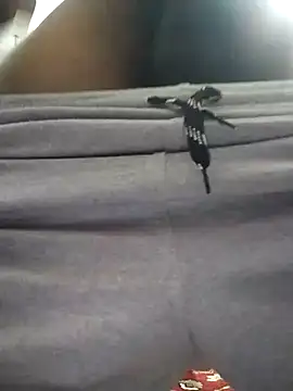 knightwolf9935 online show from 01/30/25, 12:48