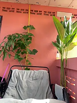 White Lu online show from 04/23/26, 02:07