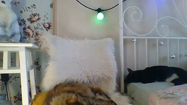 Snapshot of Frankie_Foxie chatting on 02/18/25, 06:04 Frankie Foxie online show from 02/18/25, 06:04