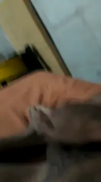 Jxffffv online show from 02/24/25, 12:20