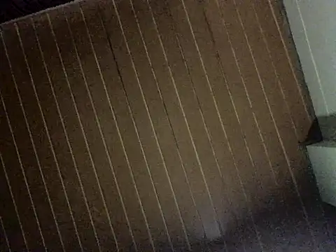 Nooneisthis online show from 12/03/25, 06:36