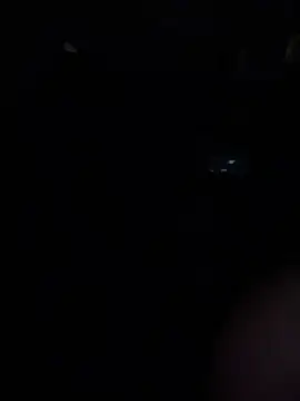 paullliliu online show from 01/14/26, 10:41