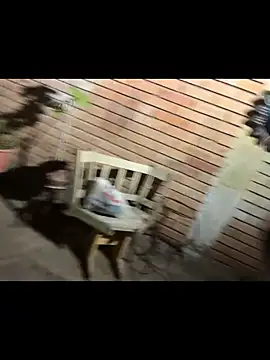 paullliliu online show from 06/11/26, 07:38