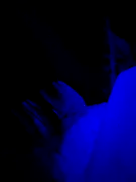 Jagebabe13 online show from 12/02/25, 03:30