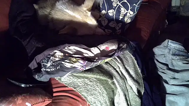 Damn bro23 online show from 01/15/26, 12:47