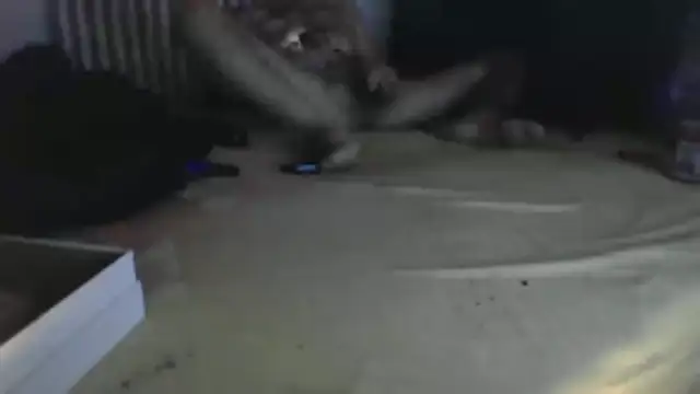 Damn bro23 online show from 01/31/26, 08:51