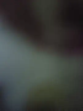 randit7 online show from 11/10/25, 04:28