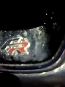 petxxl online show from 12/01/25, 03:51